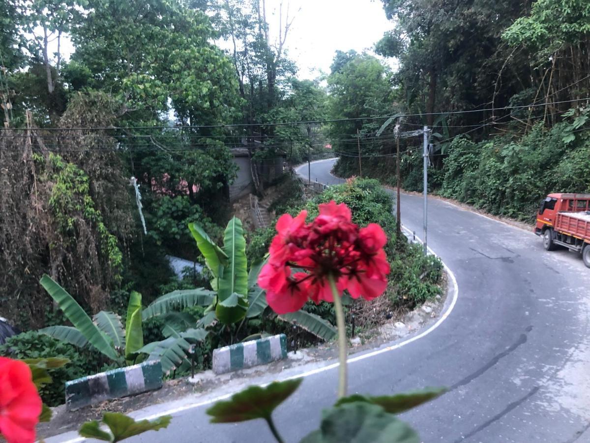 Maple Homestay كاليمبونج المظهر الخارجي الصورة