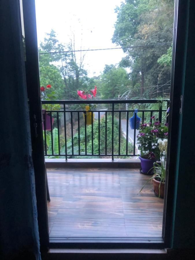 Maple Homestay كاليمبونج المظهر الخارجي الصورة