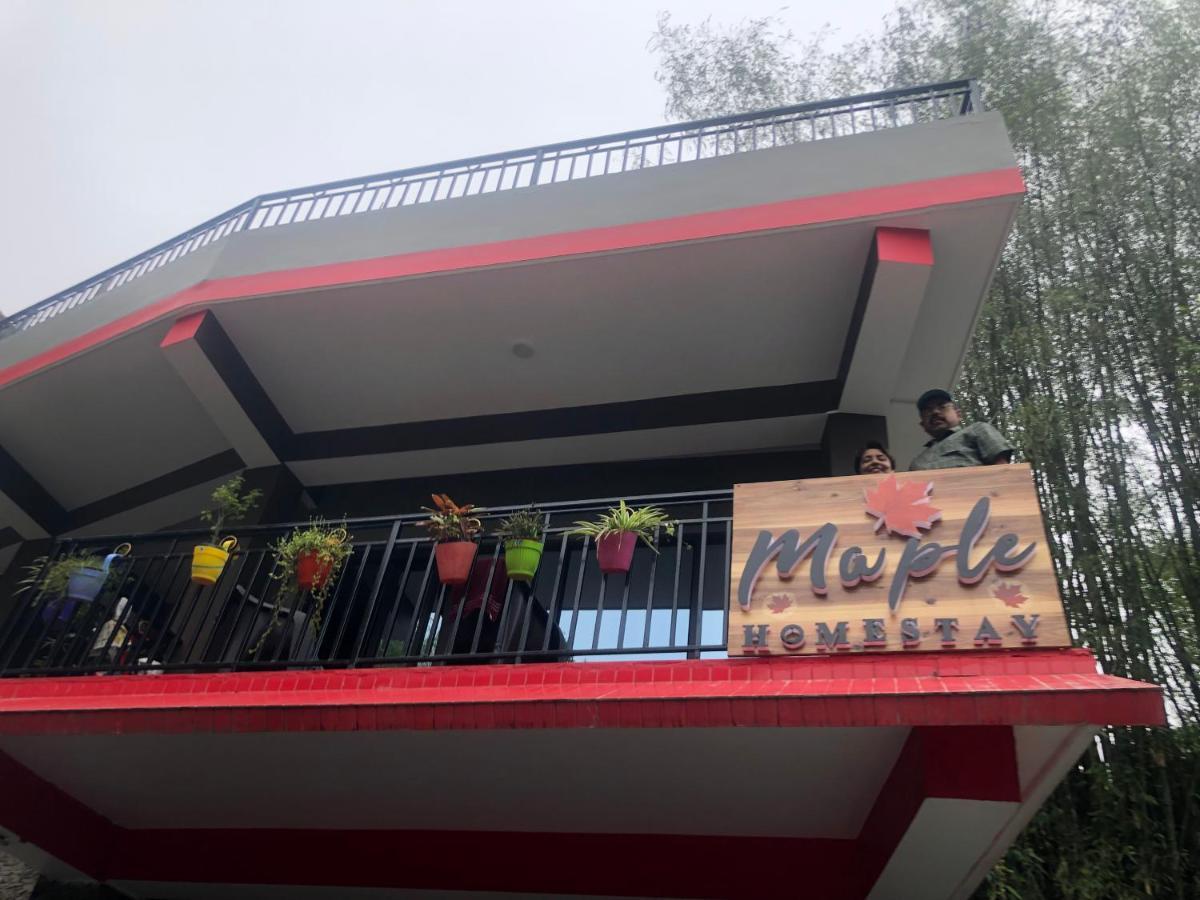 Maple Homestay كاليمبونج المظهر الخارجي الصورة