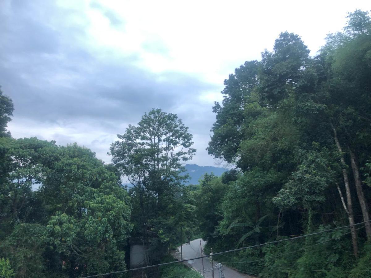 Maple Homestay كاليمبونج المظهر الخارجي الصورة