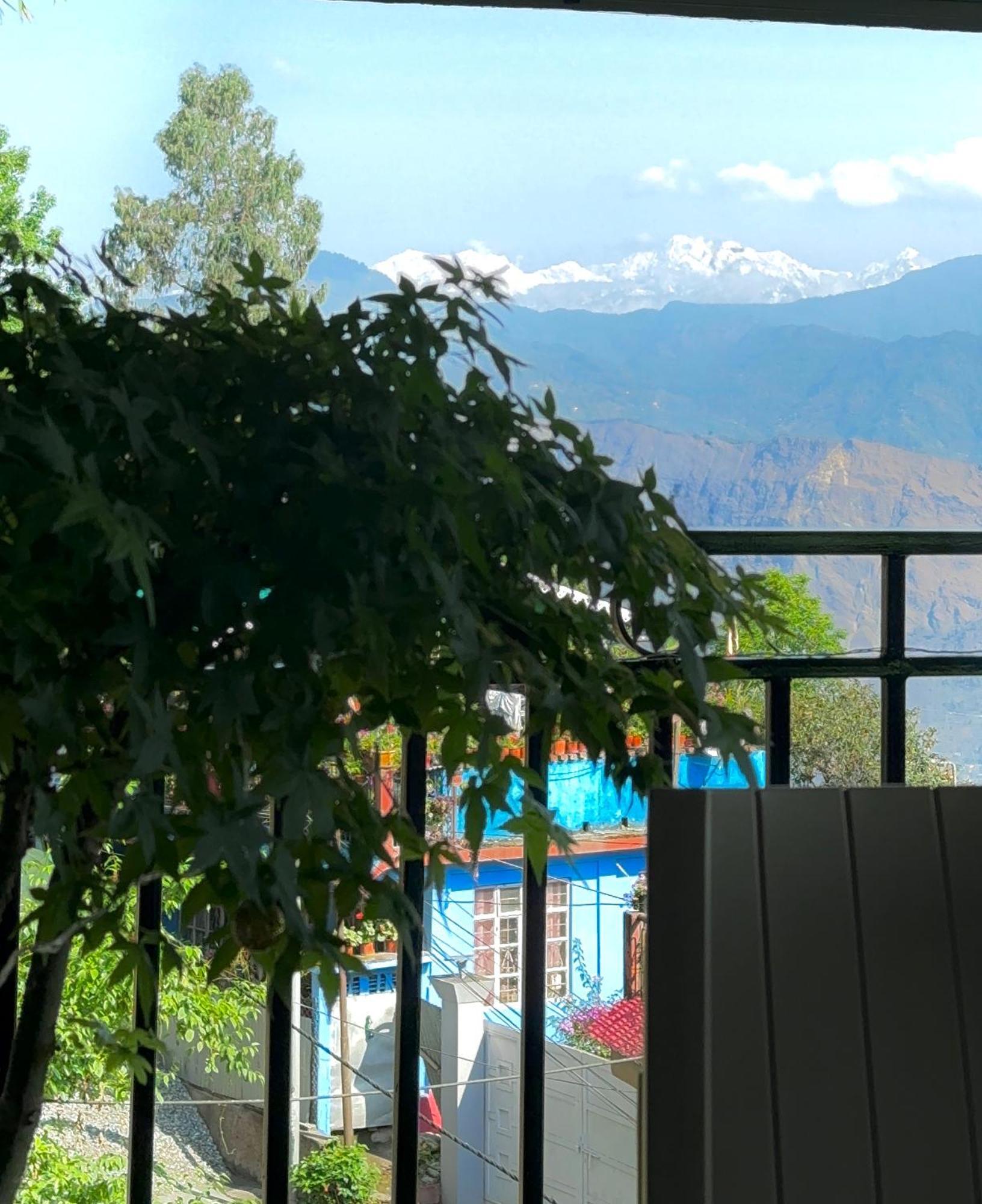 Maple Homestay كاليمبونج المظهر الخارجي الصورة